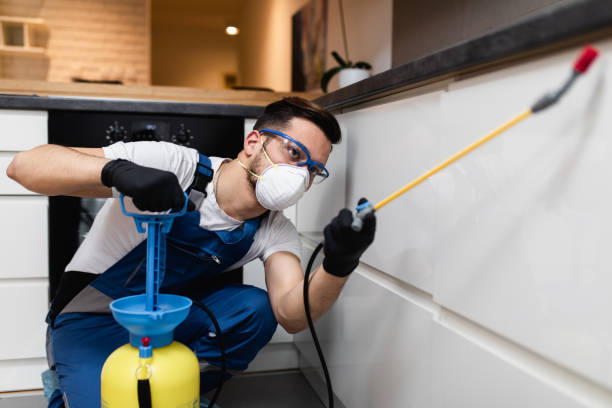 Trusted Winnetka, IL Pest Control Experts