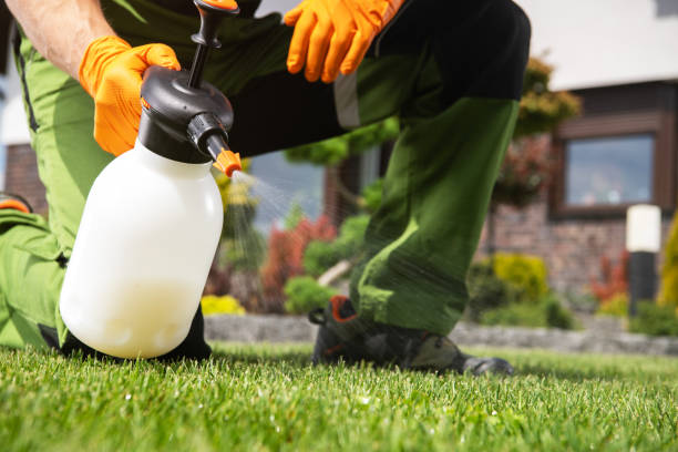 Best Bed Bug Extermination  in Winnetka, IL