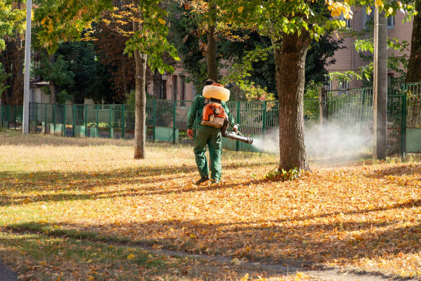 Spider Control Near Me in Winnetka, IL